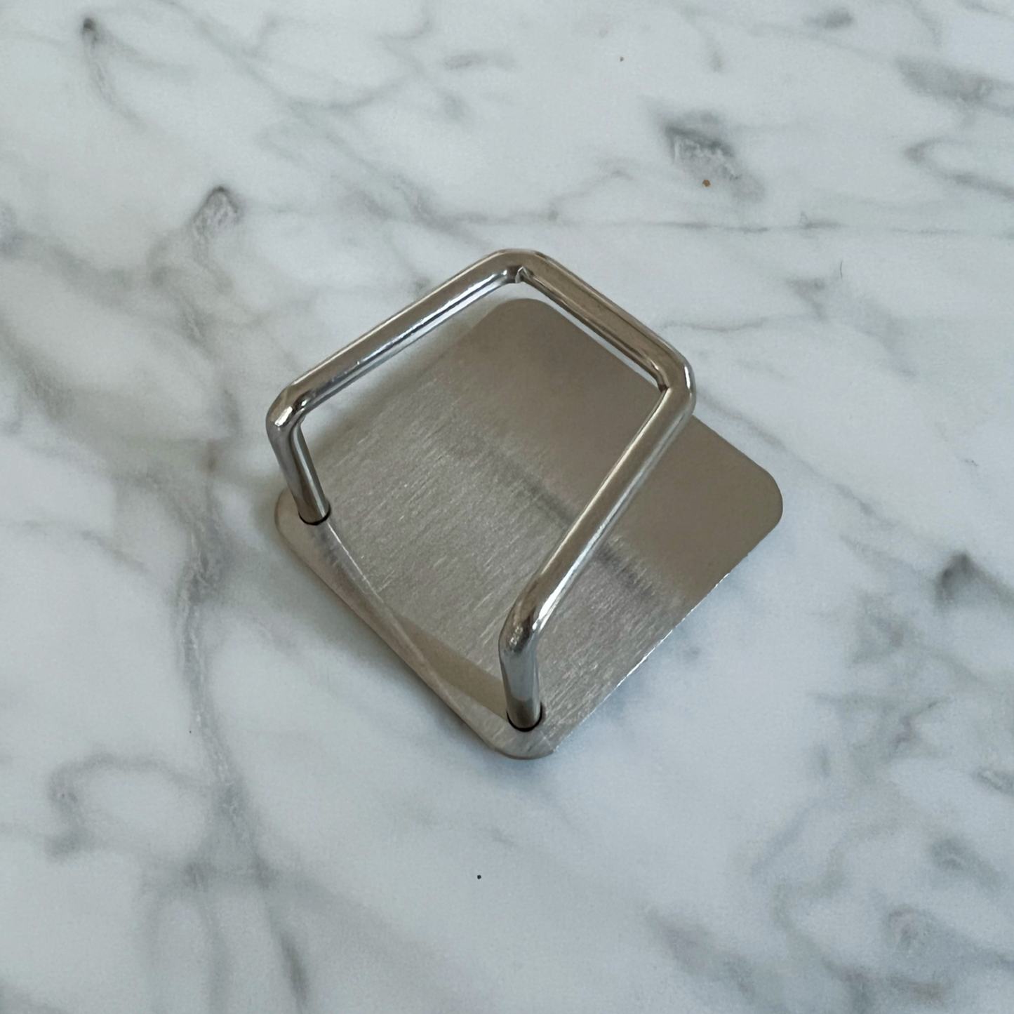 Stainless steel sponge holder