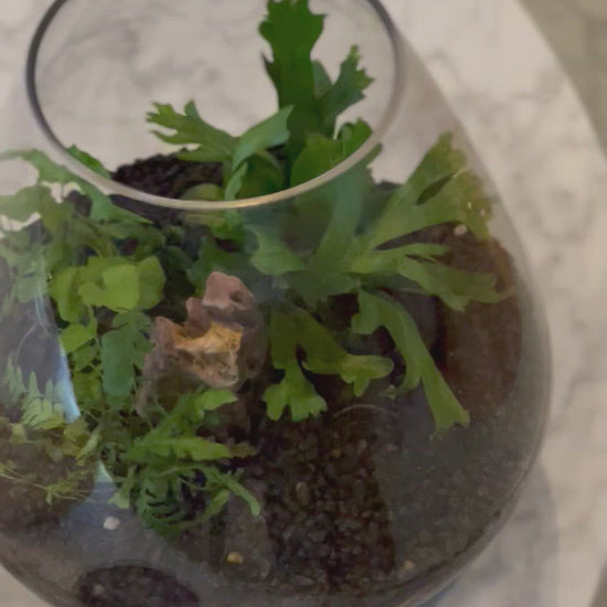 Secret garden video