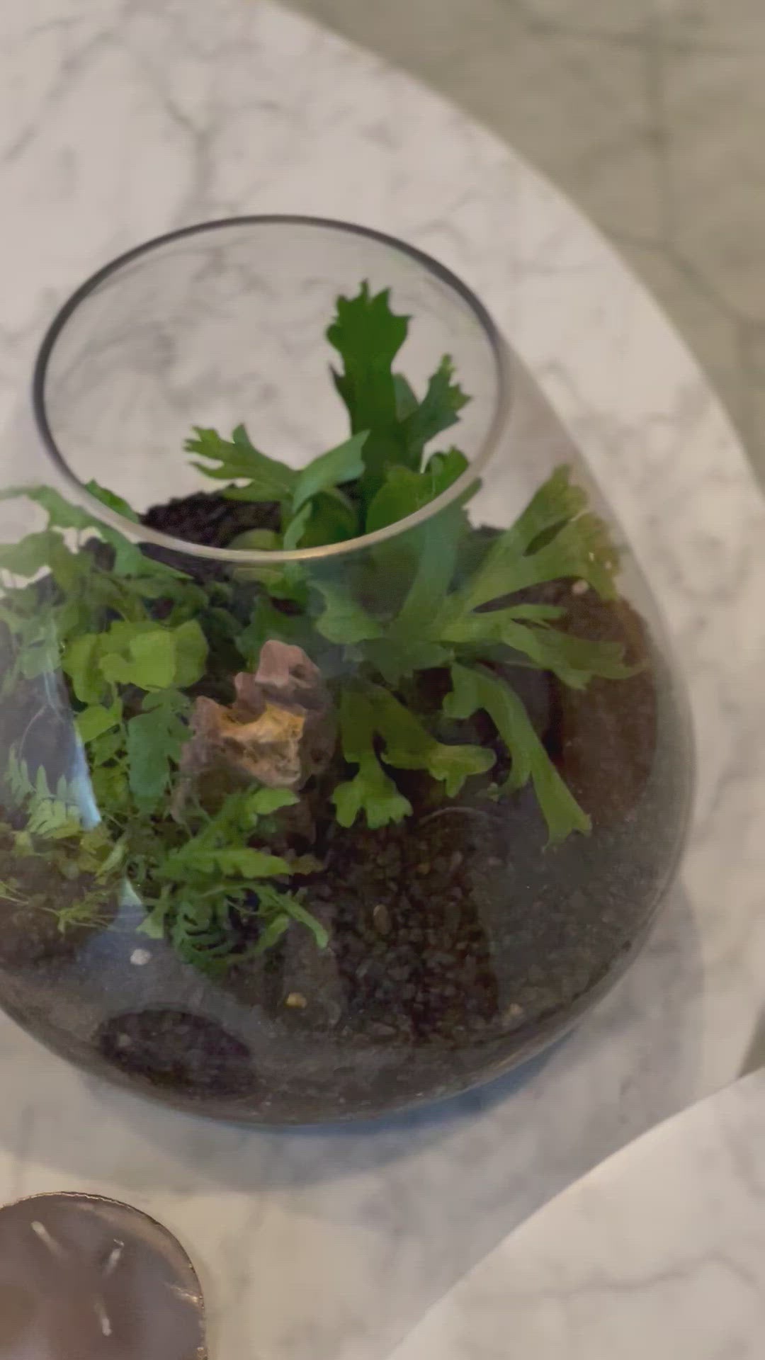 Secret garden video