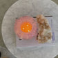 Magic Mushroom Pink