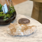 Apophyllite