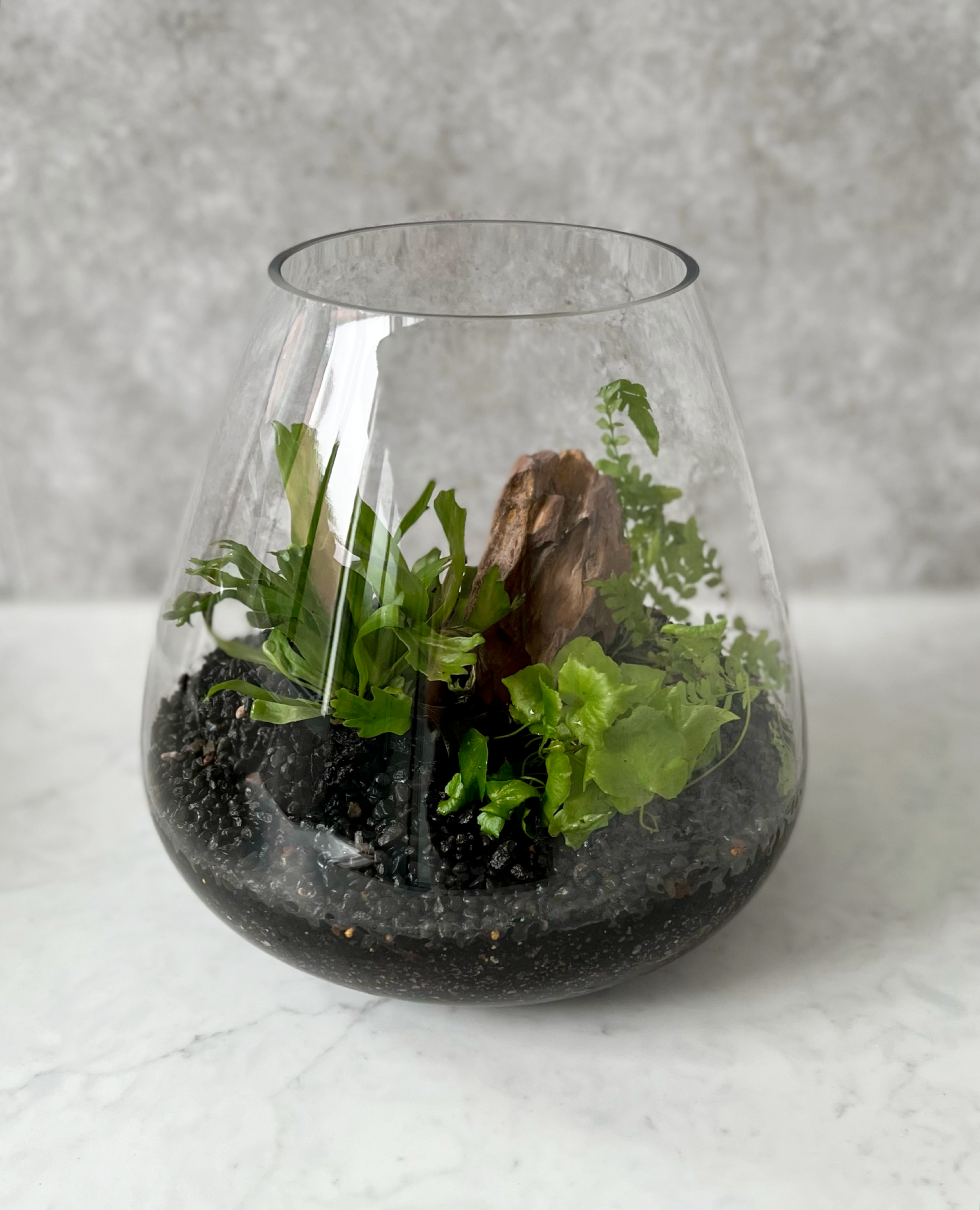 Secret garden terrarium