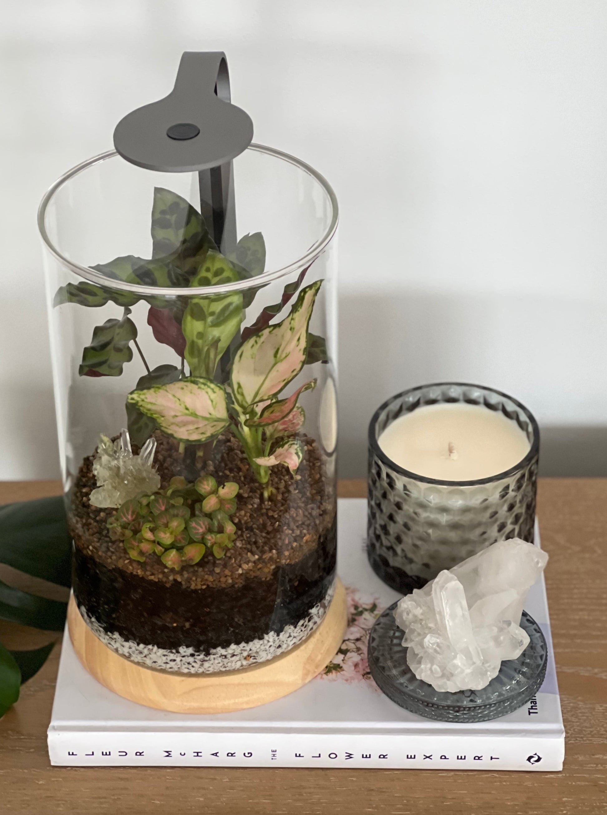 Terrarium with light