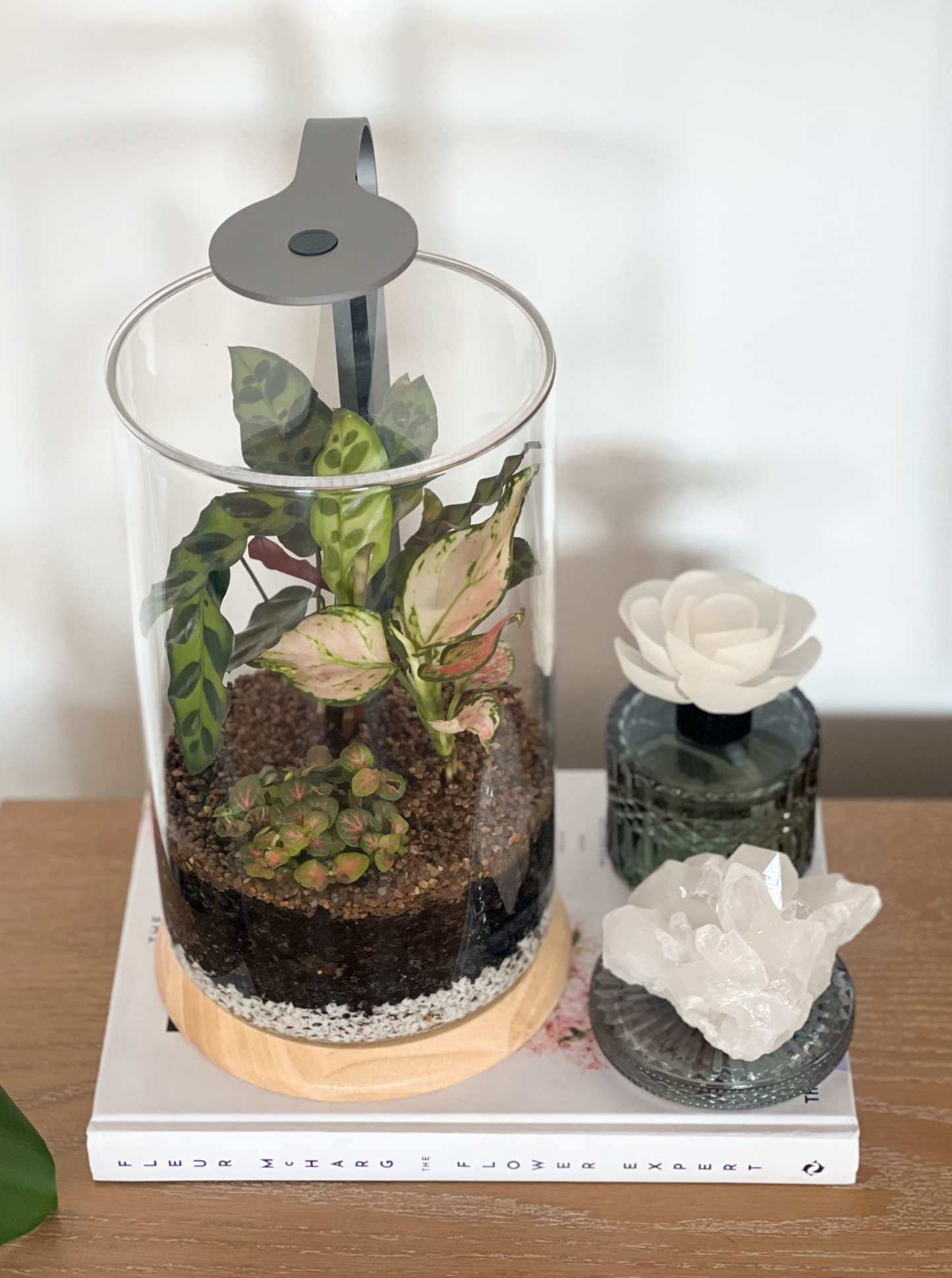 Terrarium no crystal