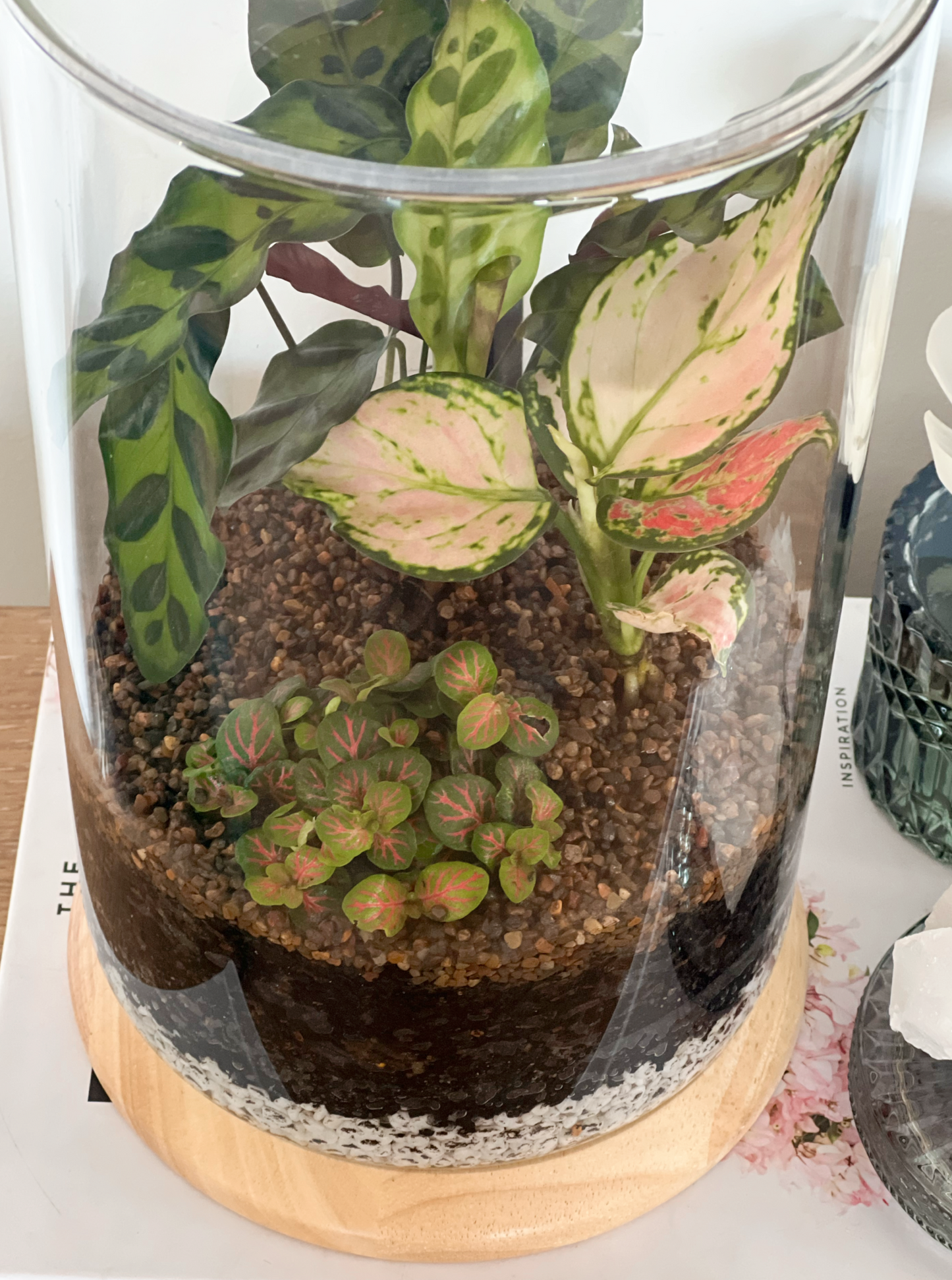 Terrarium no crystal