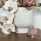 Rose Quartz Point