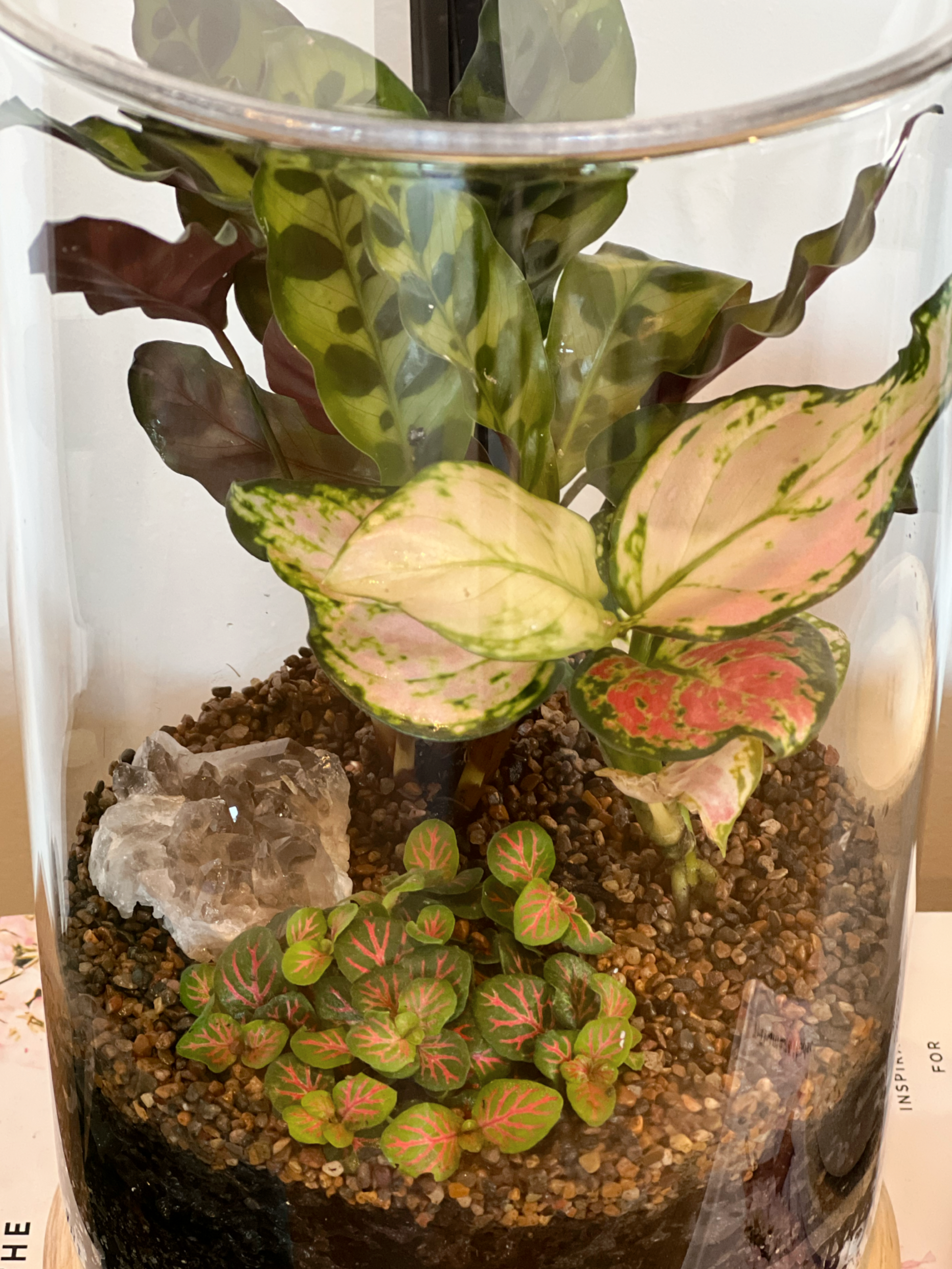 Terrarium with Smokey Quartz Crystal Inside