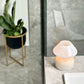  Mushroom Candle Lamp - White