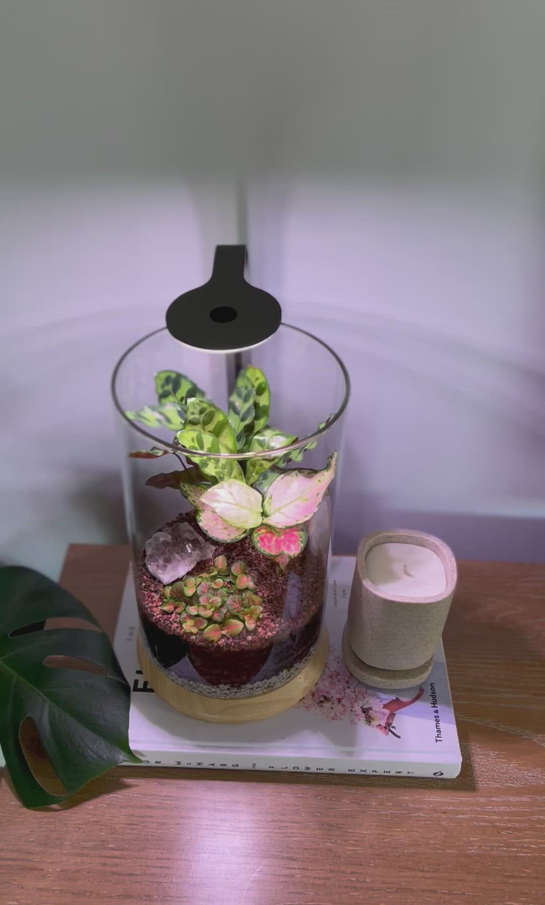 Terrarium w' smokey quartz video